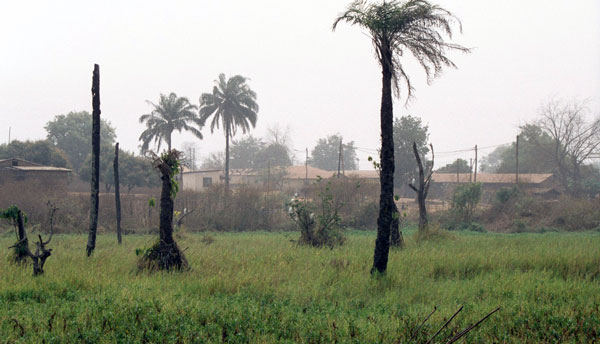 Wetland 
