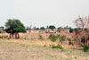 Kaboli Well and Town