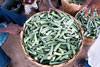 Basket of Okra