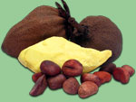 "Golden Shea Butter" - Painya,  butter from the African Butter Tree, with fruit and nuts