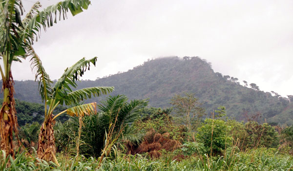 Mountain