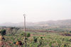 Powerline